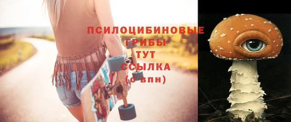 jwh Горно-Алтайск